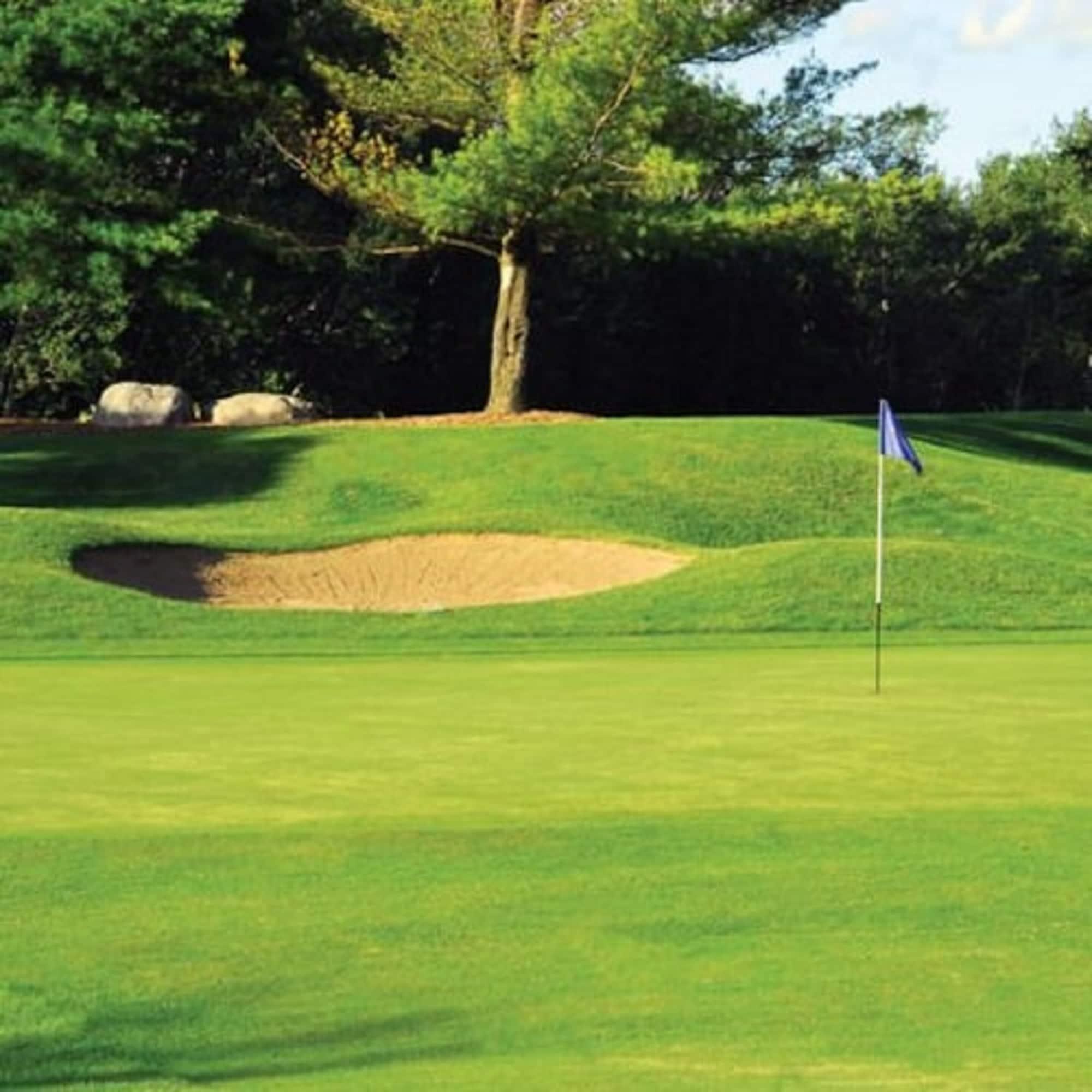 Forest Golf Club and Inn 6/19