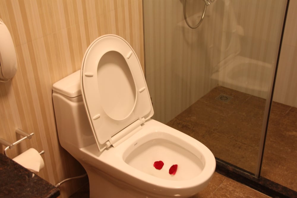 Hangzhou Bokai Westlake Hotel 34/47