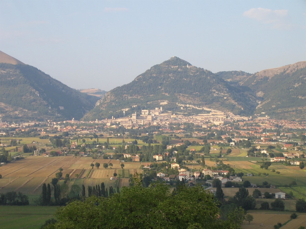Azienda Agraria Montelujano 19/35