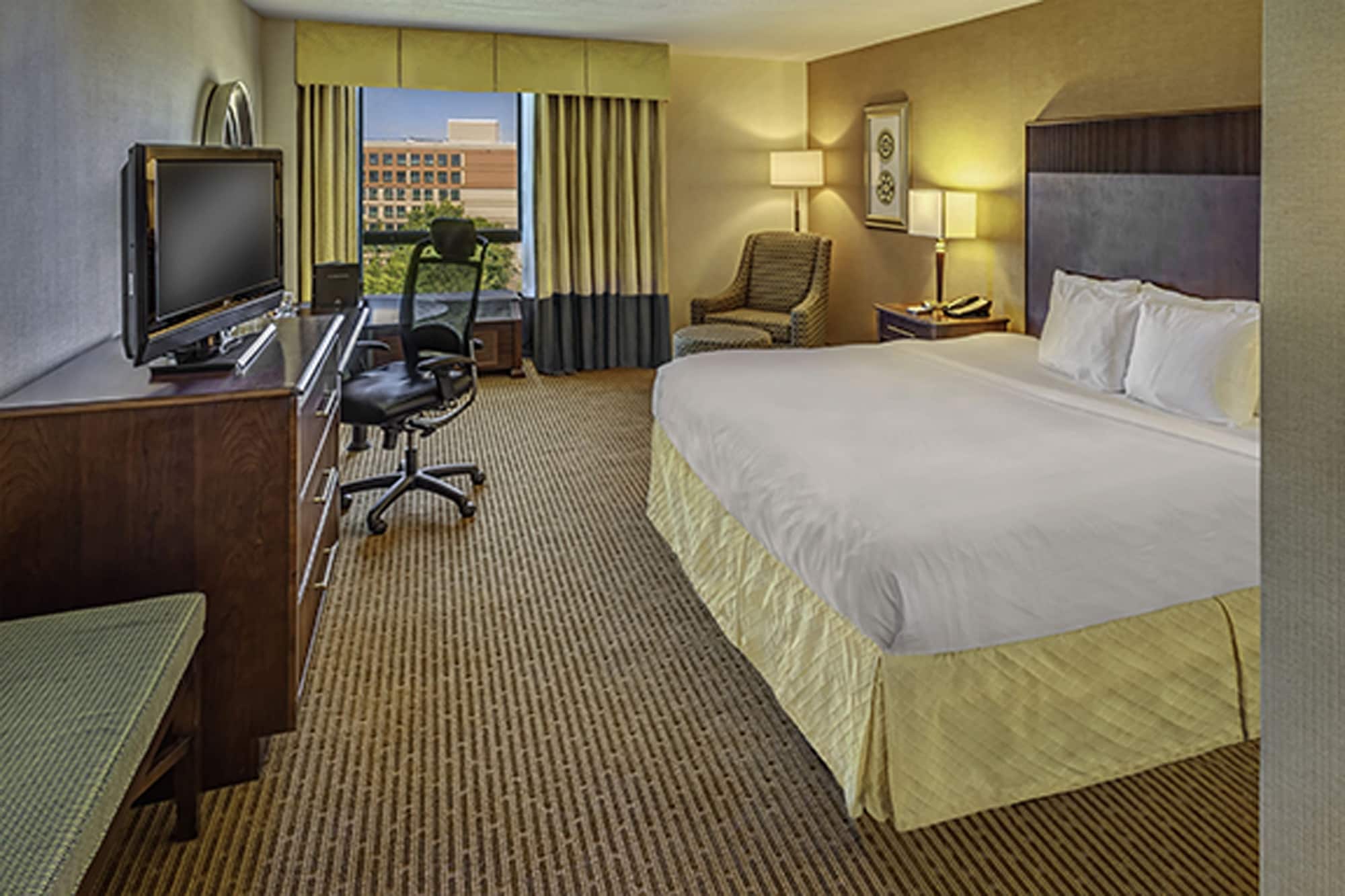 Junior Suite, Studio, King Bed