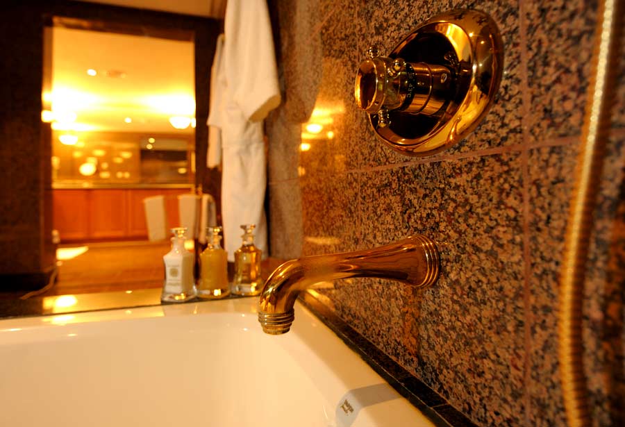 فندق قصر أبها(Abha Palace Hotel) 24/43