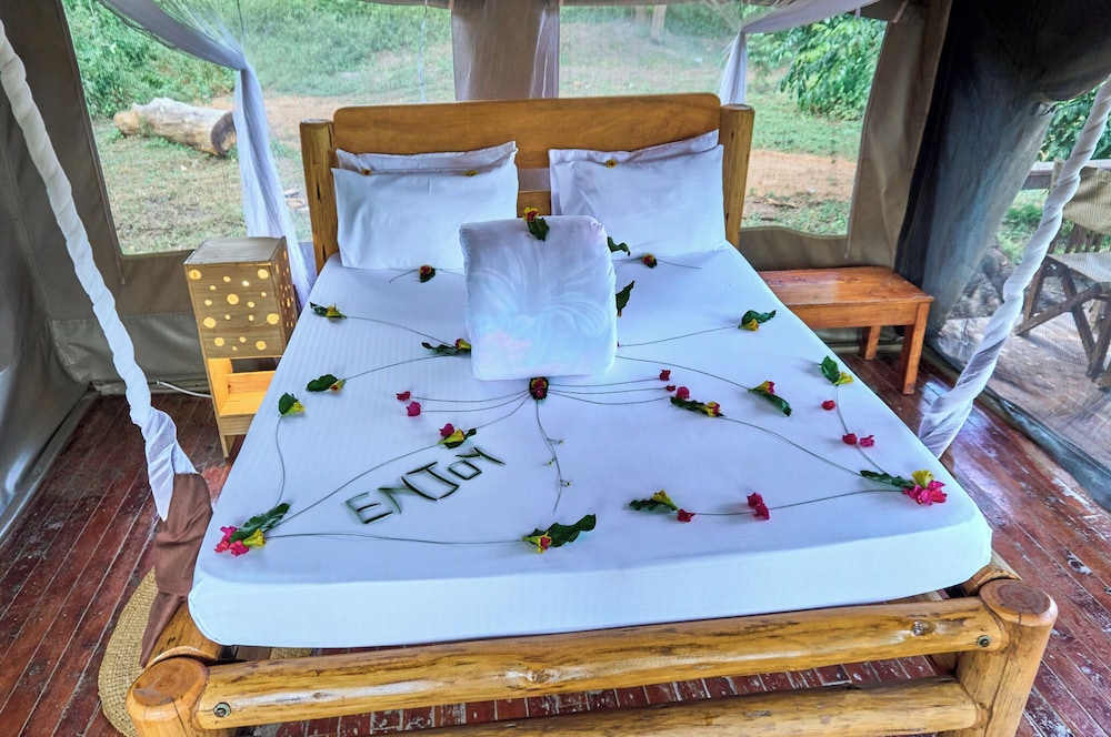 MIGUNGA TENTED CAMP 26/47