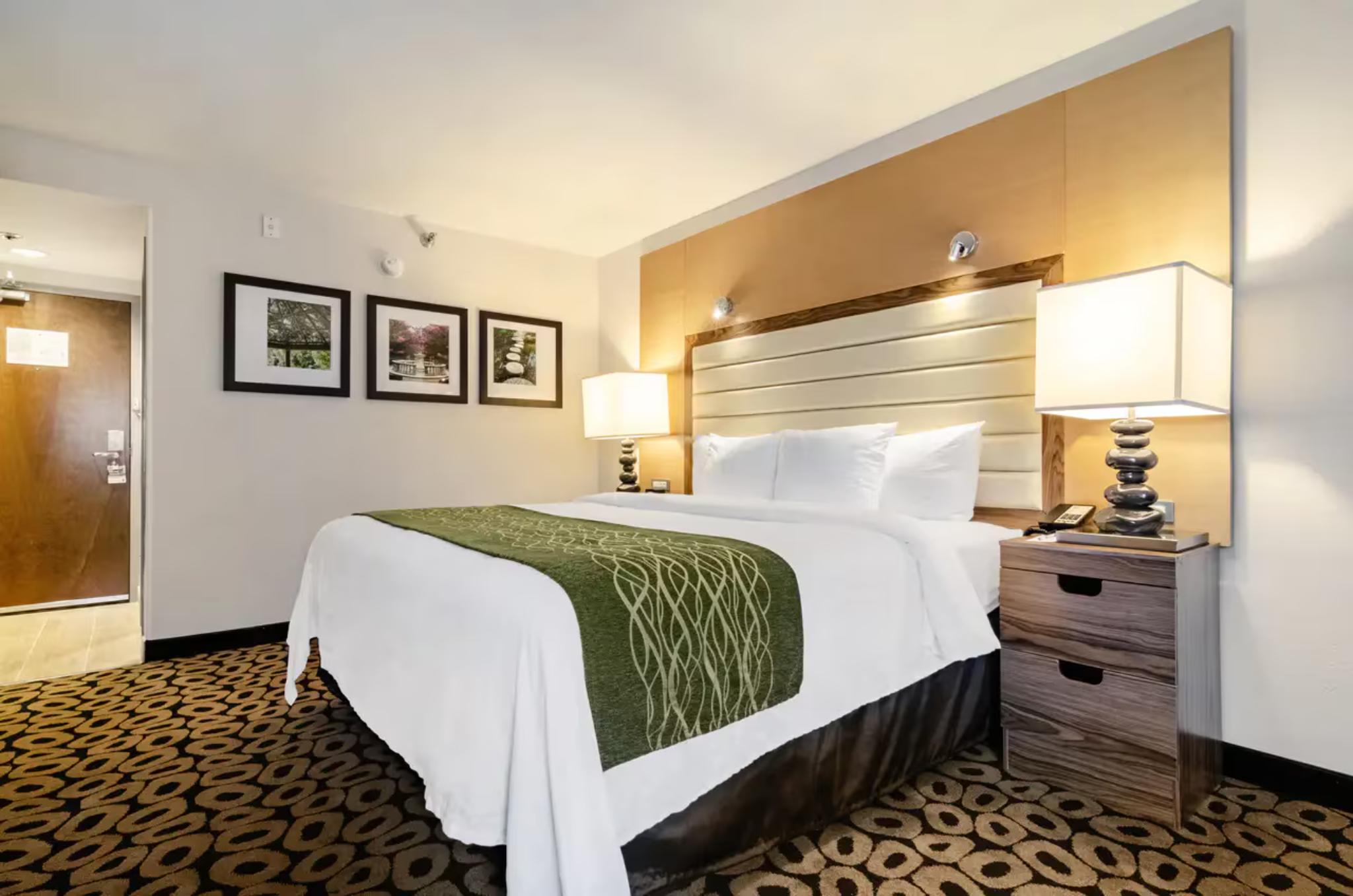 Suite, Queen Bed, Accessible