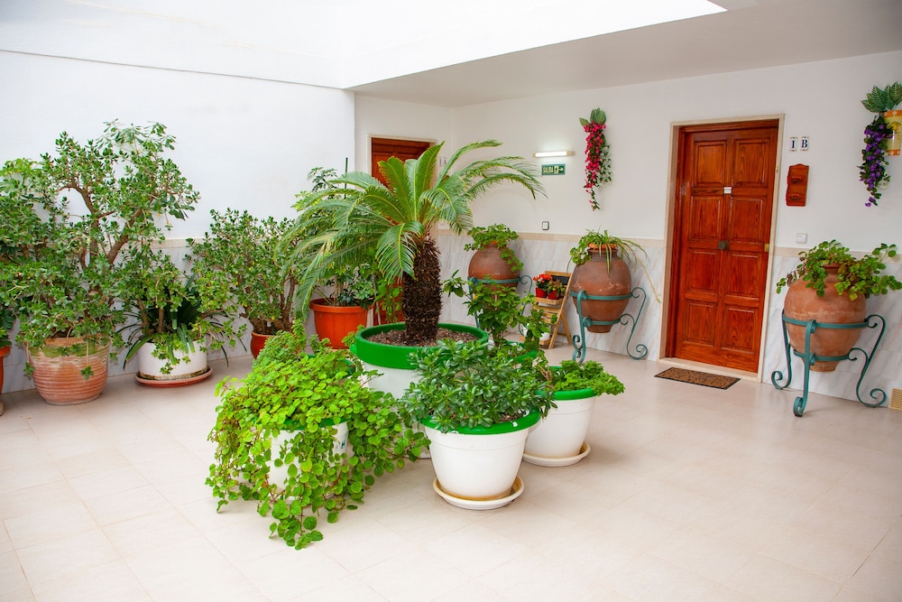 Atalaya Bosque Apartamentos 7/50