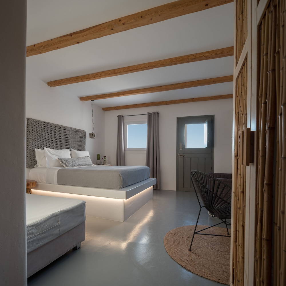 Standard, King Bed, Sofa