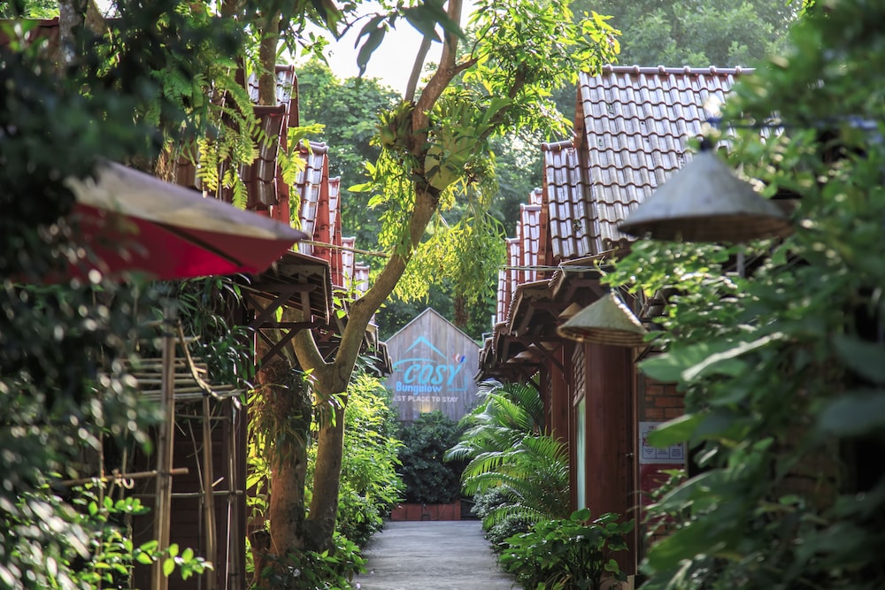 Cosy Bungalow Phu Quoc 2/24