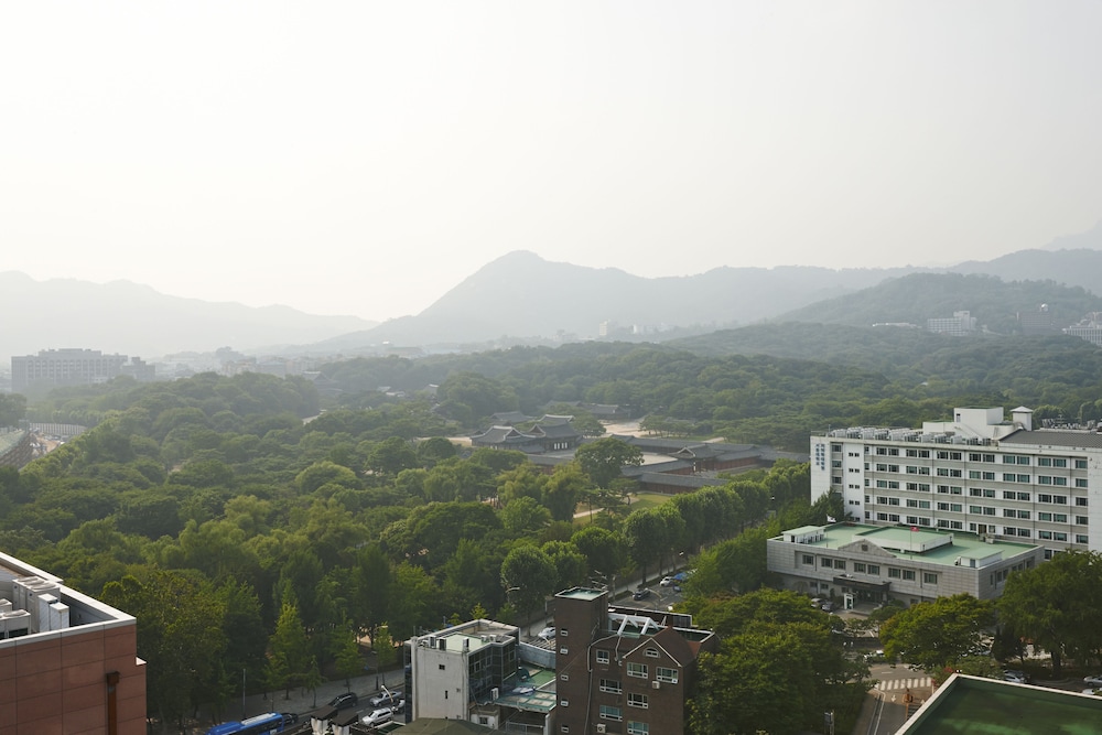 首尔东大门梅普雷斯酒店(MAYPLACE SEOUL DONGDAEMUN) 图片3