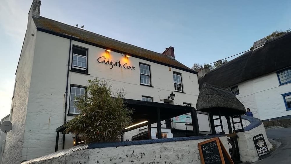 Cadgwith Cove Inn 2/50