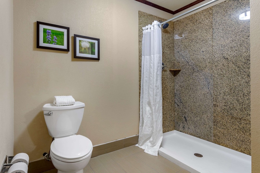 Comfort Suites Manhattan 18/43