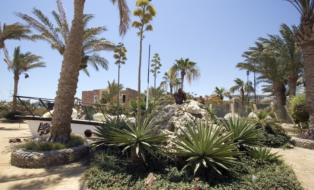 Ananea Hurghada 41/50