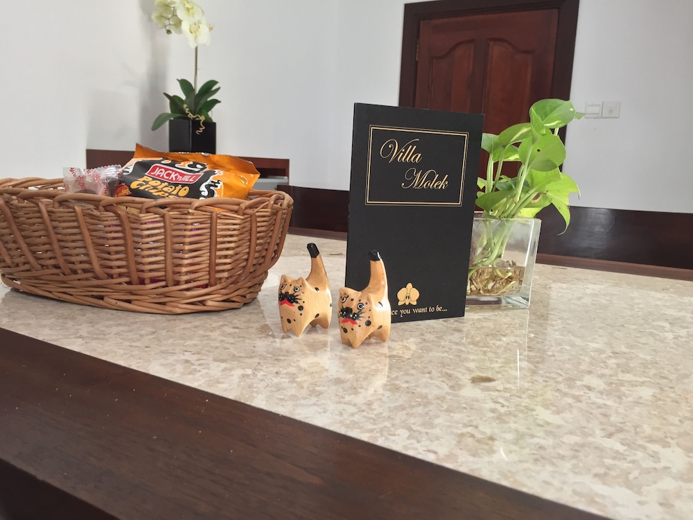 Villa Molek 25/50