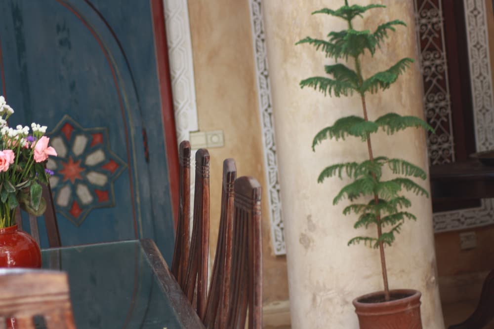 Riad Lorsya 9/46