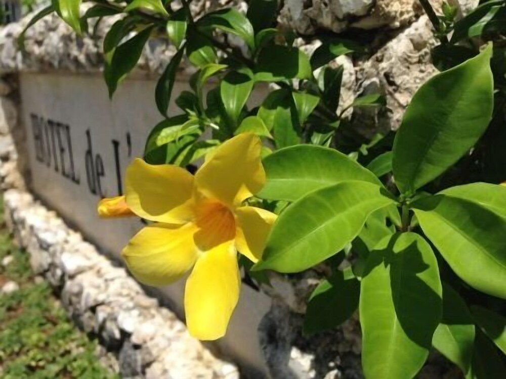 Hotel De L'aqua Miyakojima 37/39