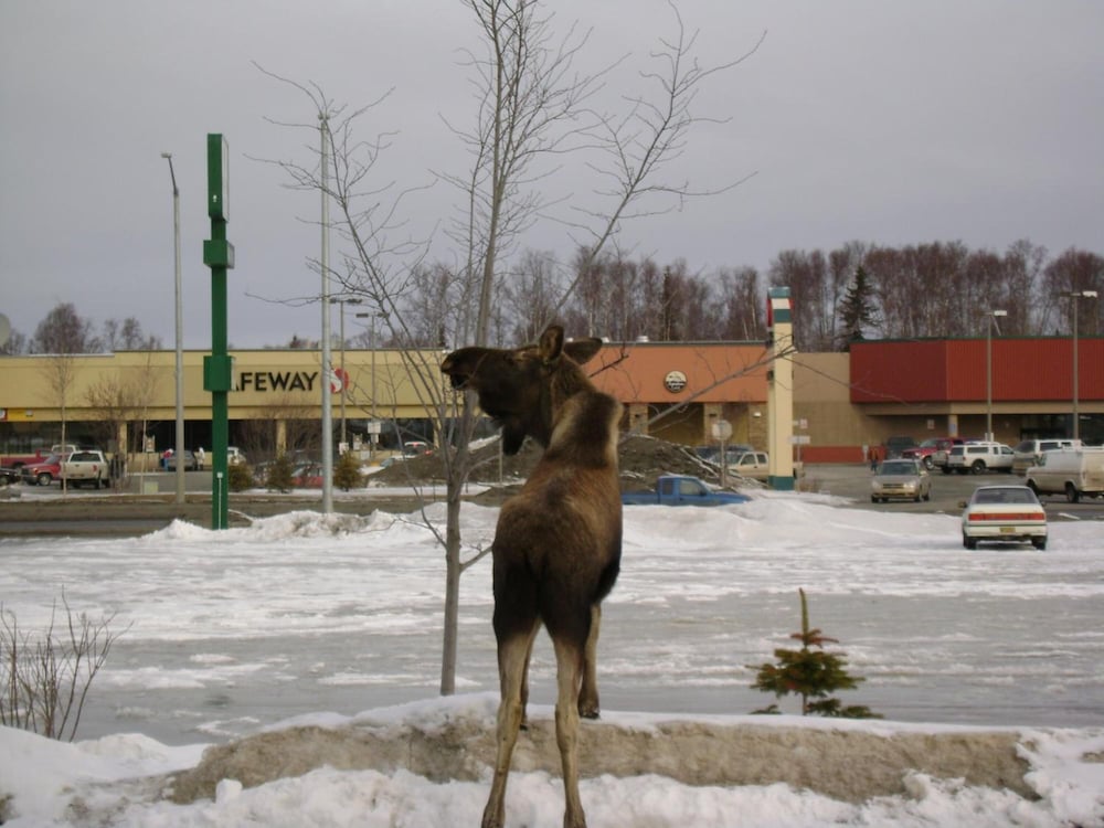 Aspen Hotel Soldotna 27/33