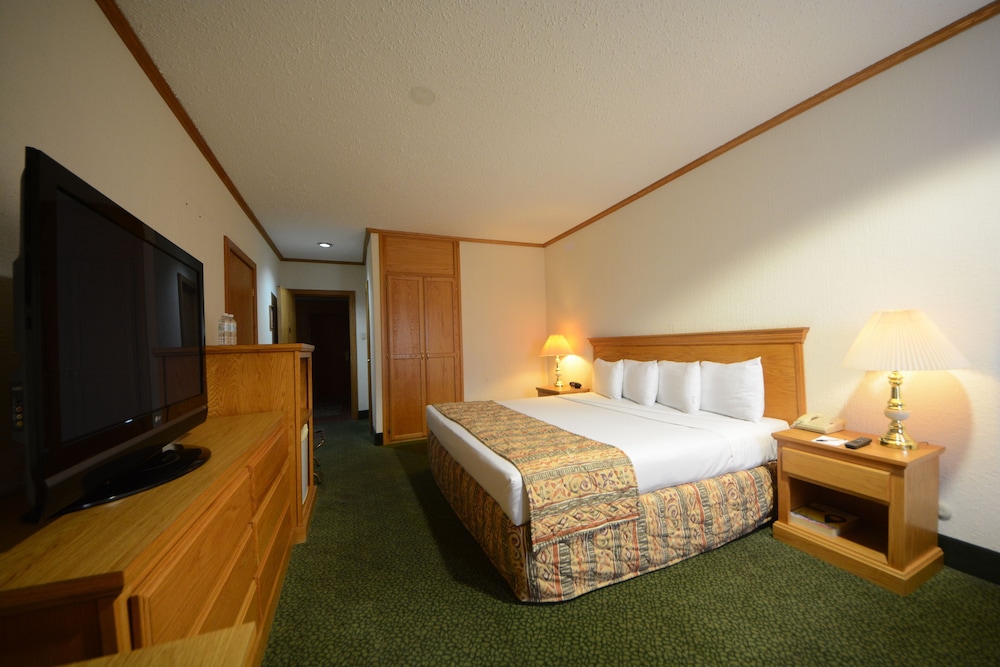 Sicomoro Hotel 20/50