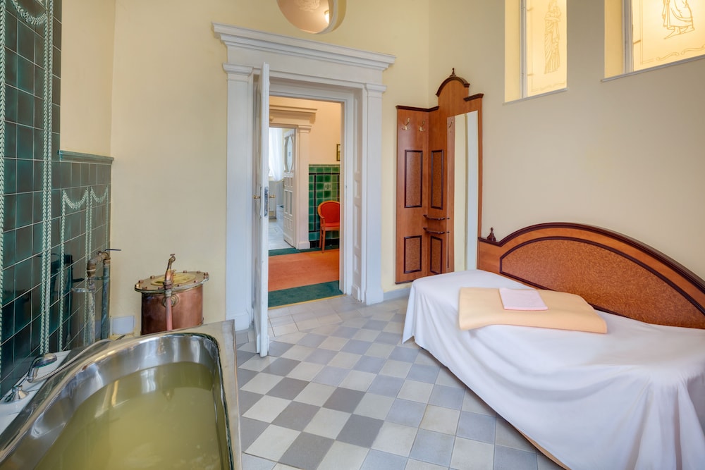 Centralni Lazne Ensana Health Spa Hotel 7/49