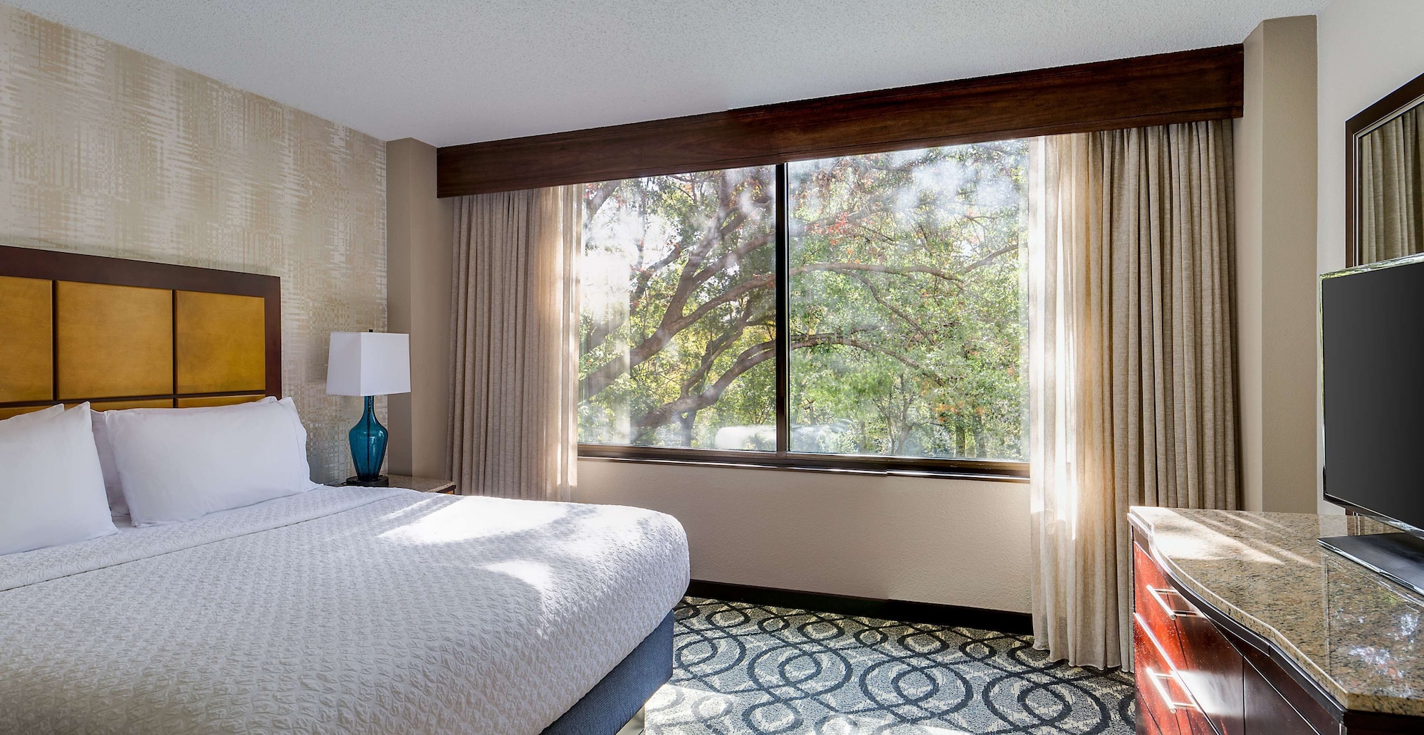 Room at Embassy Suites by Hilton Dallas Love Field, DALLAS - TX