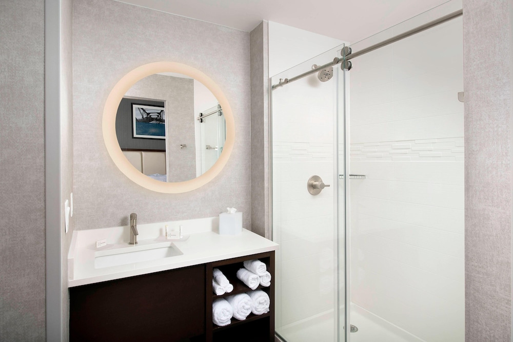 Springhill Suites By Marriott Atlanta Downtown 14/45