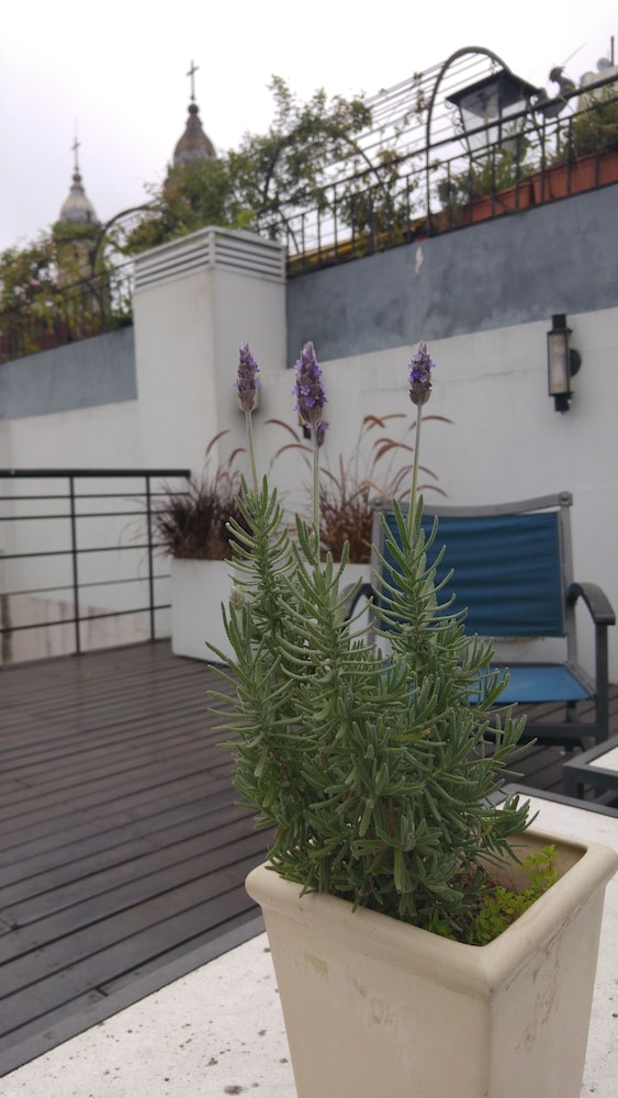 TELMHO HOTEL BOUTIQUE 38/41