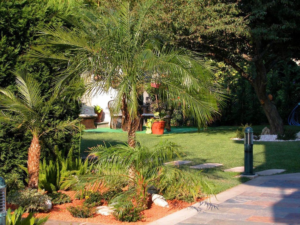 Pineiro 38/42