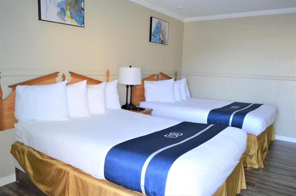 Omeo Suites Glass Beach 9/50