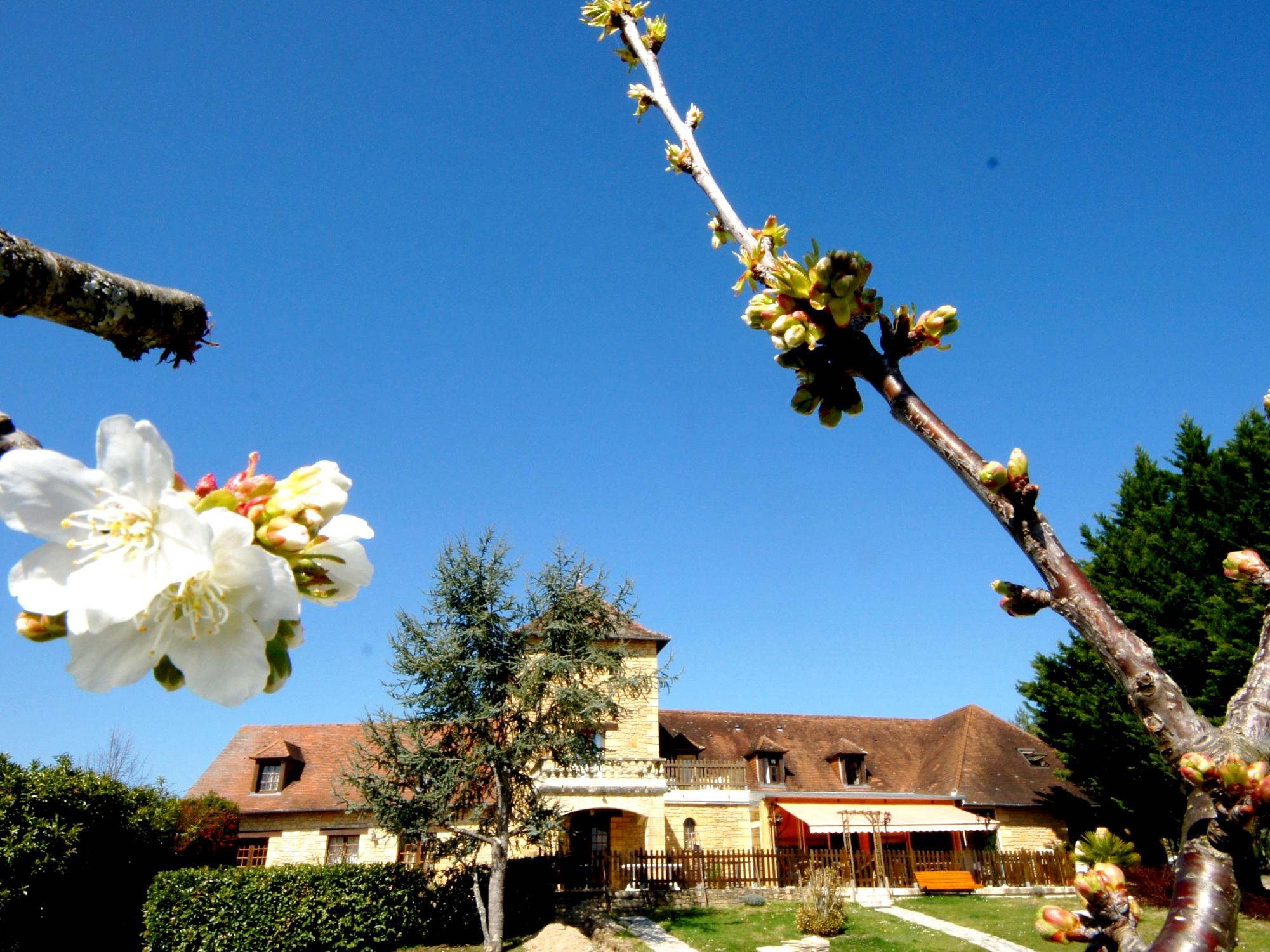HOTEL LES COLLINES 10/15