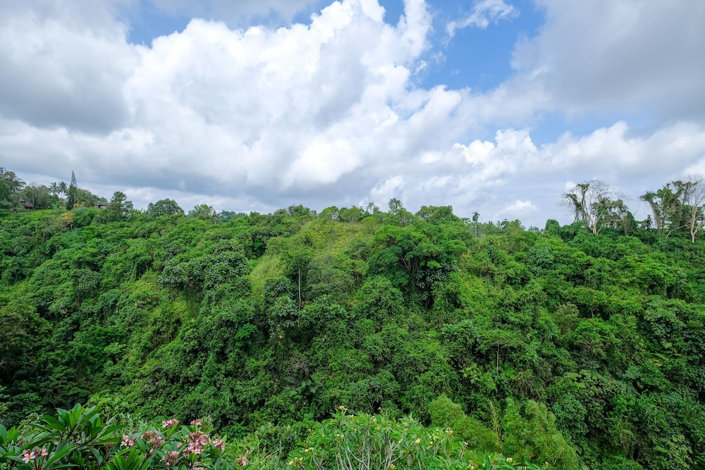Sunrise Villa Ubud 38/50