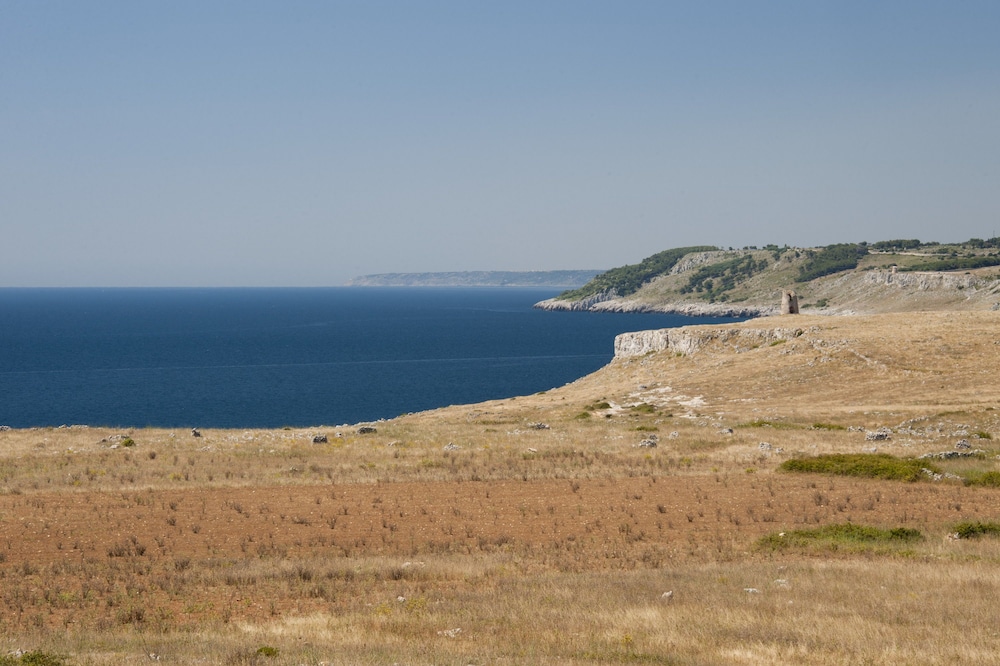 surroundings