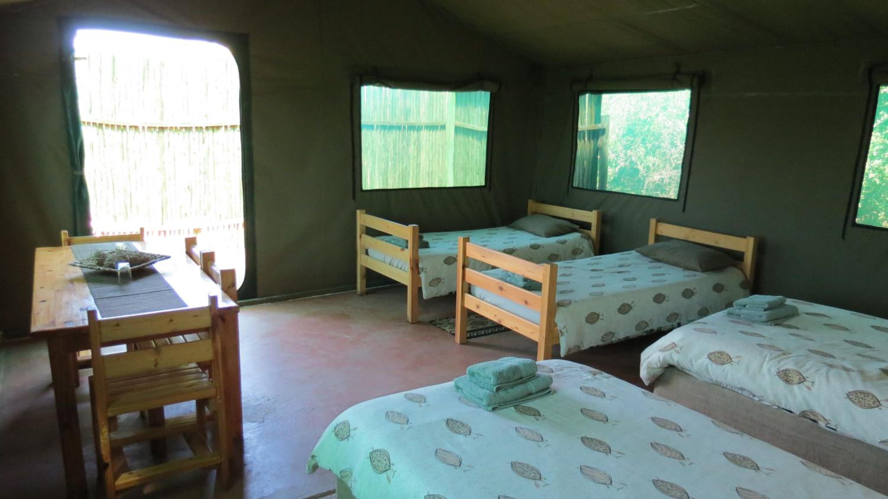 Safari, Style, Tent