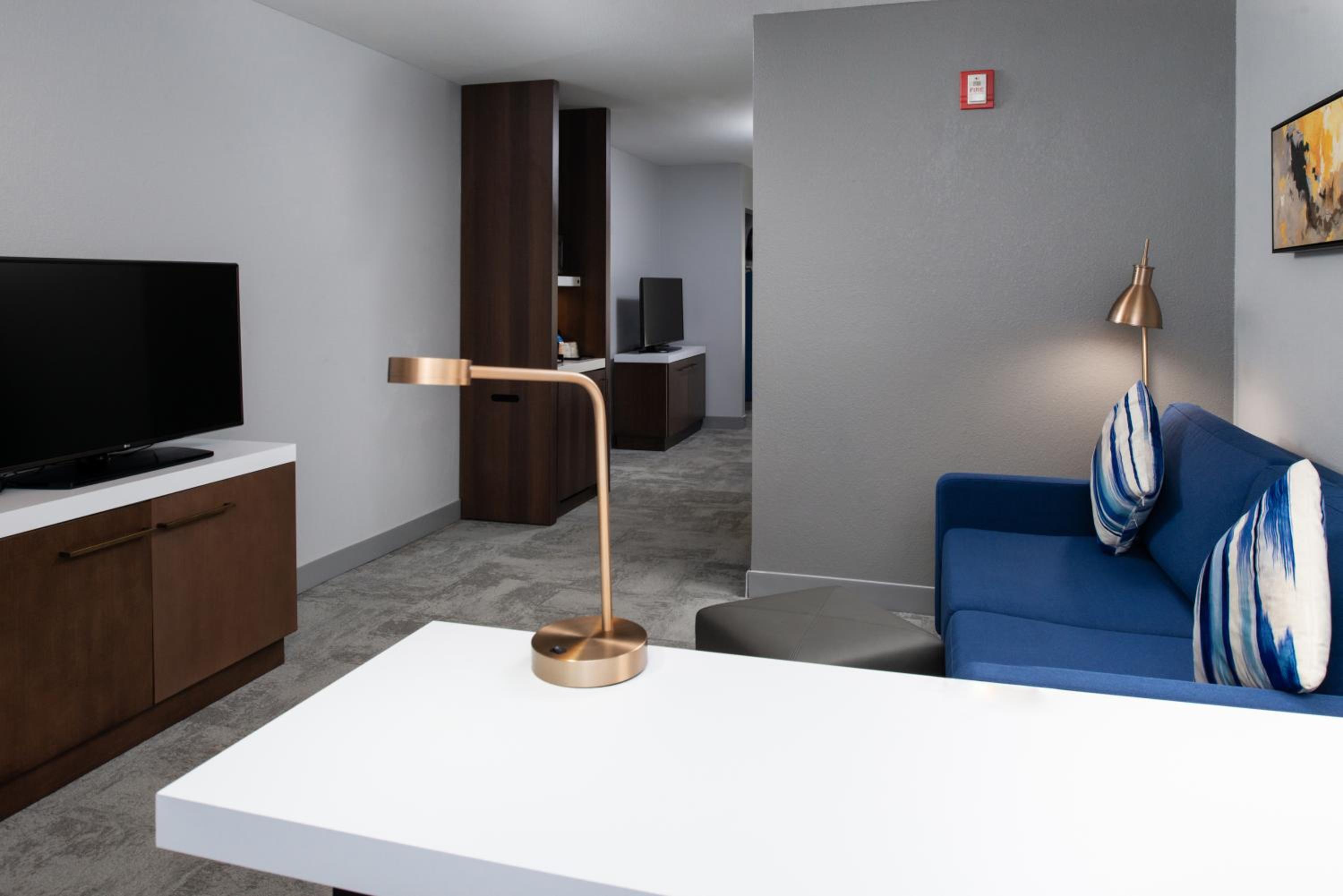 جناح جونيور بسرير كينج مع أريكة لذوي الإعاقة، Hilton Garden Inn Baton Rouge Airport 5/5