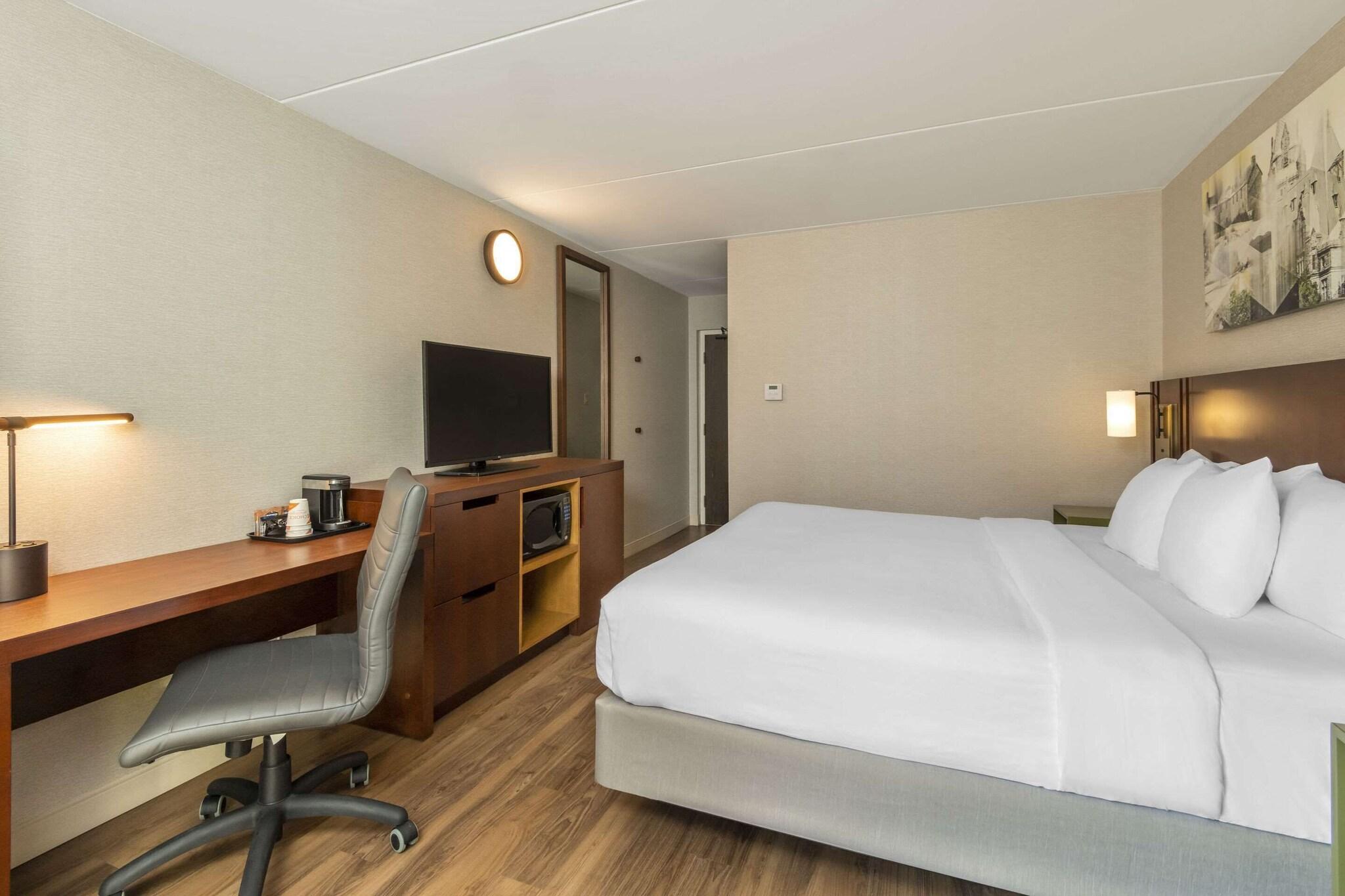 Upgrade, Suite, King Bed