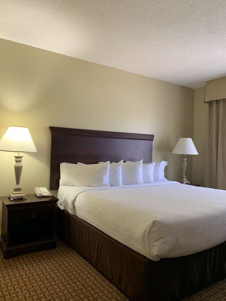 Euro Suites Hotel 20/52