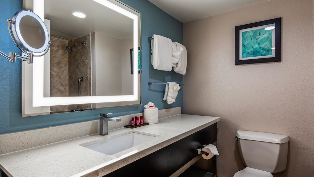 Delta Hotels by Marriott Jacksonville Deerwood 14/52