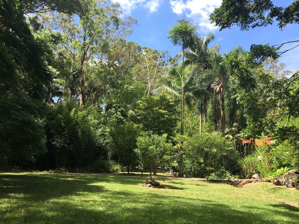 Songbirds Rainforest Retreat 33/50