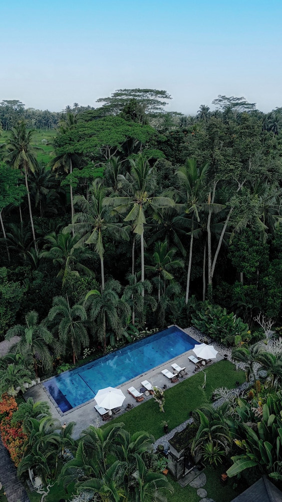 Suara Air Luxury Villa Ubud 46/50