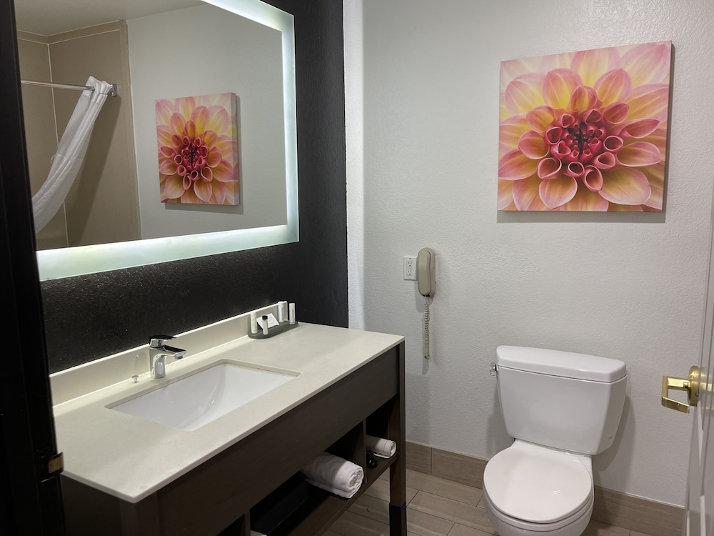 La Quinta Inn & Suites by Wyndham Hesperia Victorville 16/44