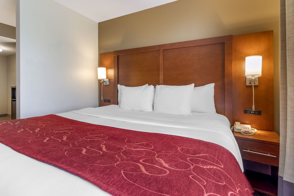 Comfort Suites Knoxville North 14/45