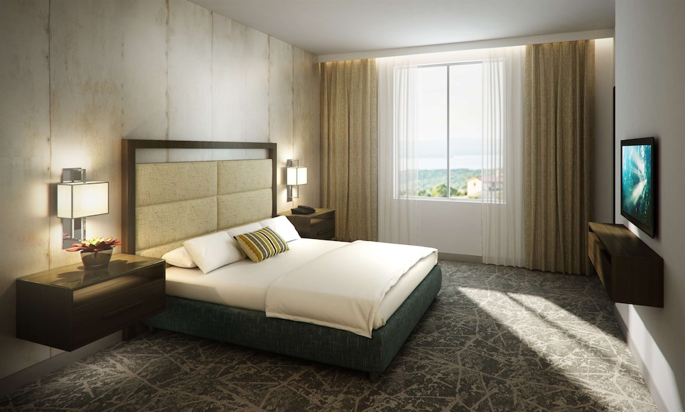 Embassy Suites By Hilton San Antonio Brooks Hotel & Spa 17/67