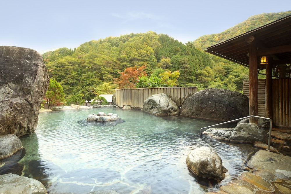 Hodakaso Yamano Hotel 25/59