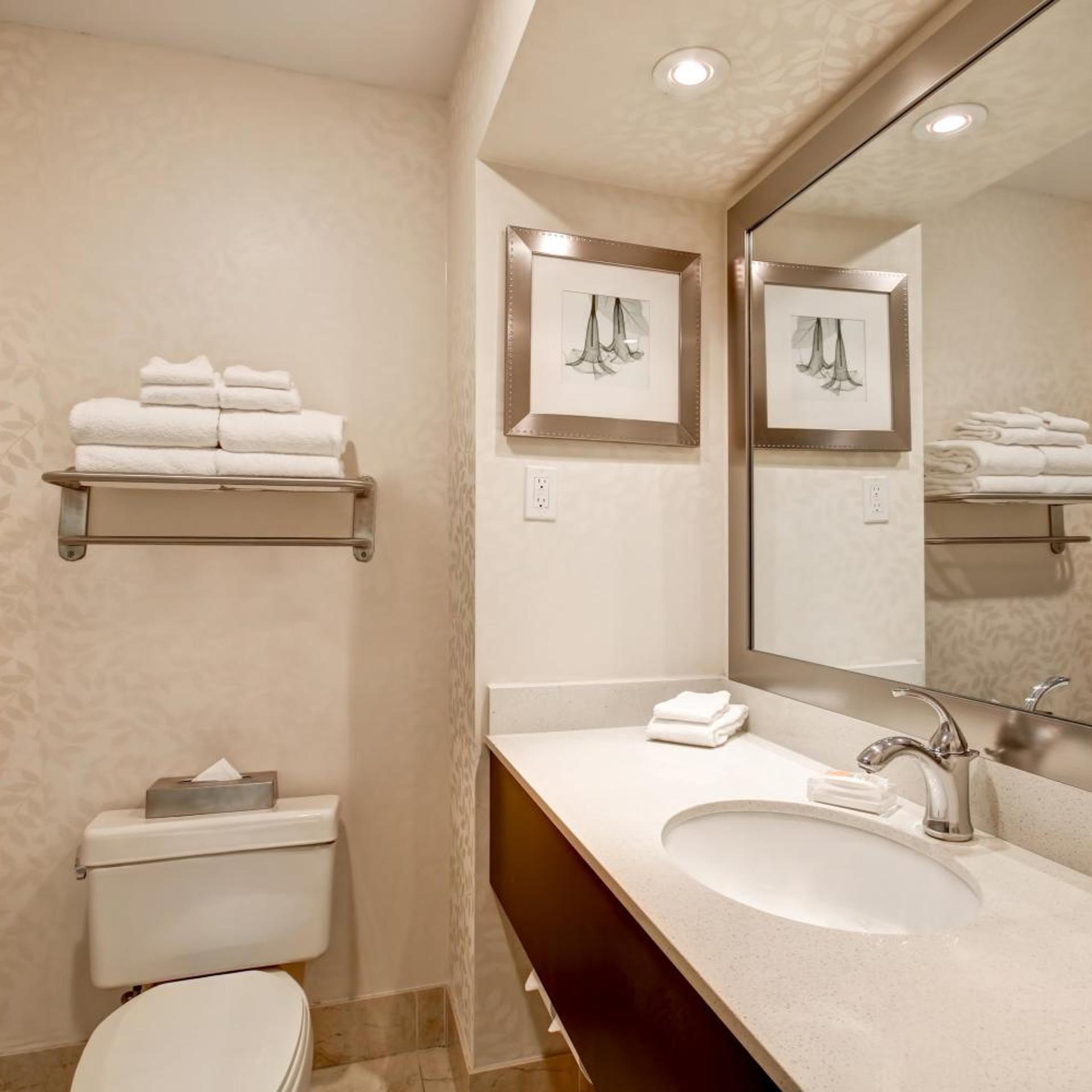 جناح بسرير كينج مع أريكة، Holiday Inn Suites Windsor Ambassador Bridge 9/10