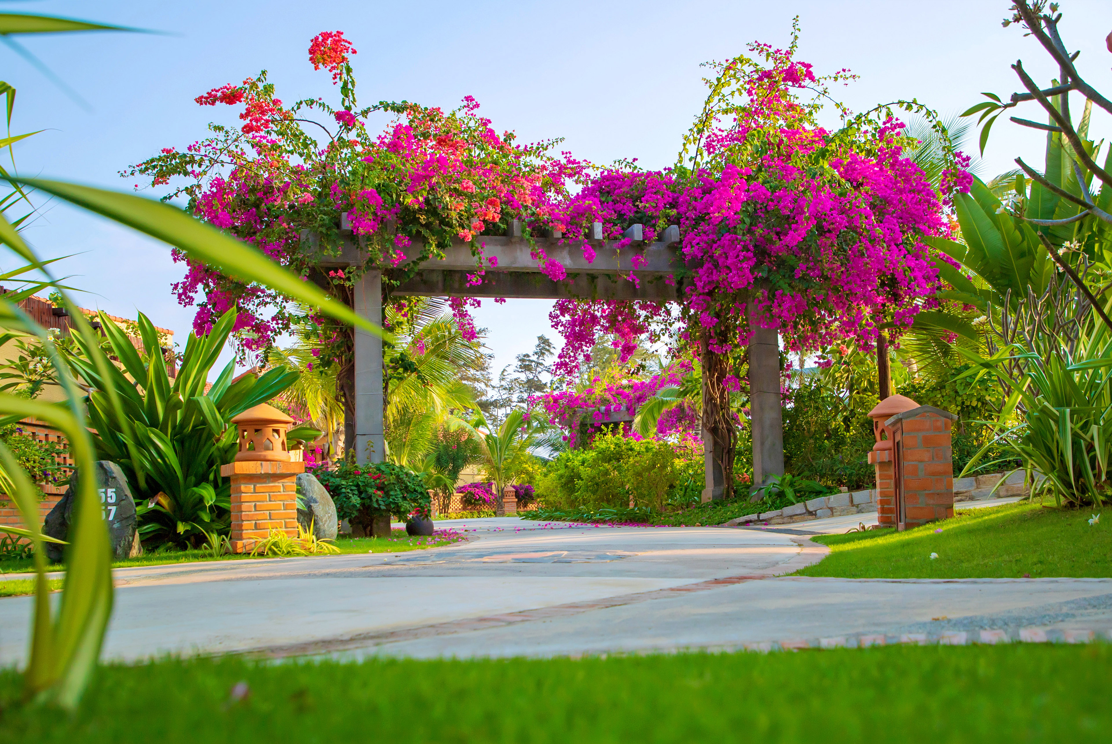 Pandanus Resort 133/140
