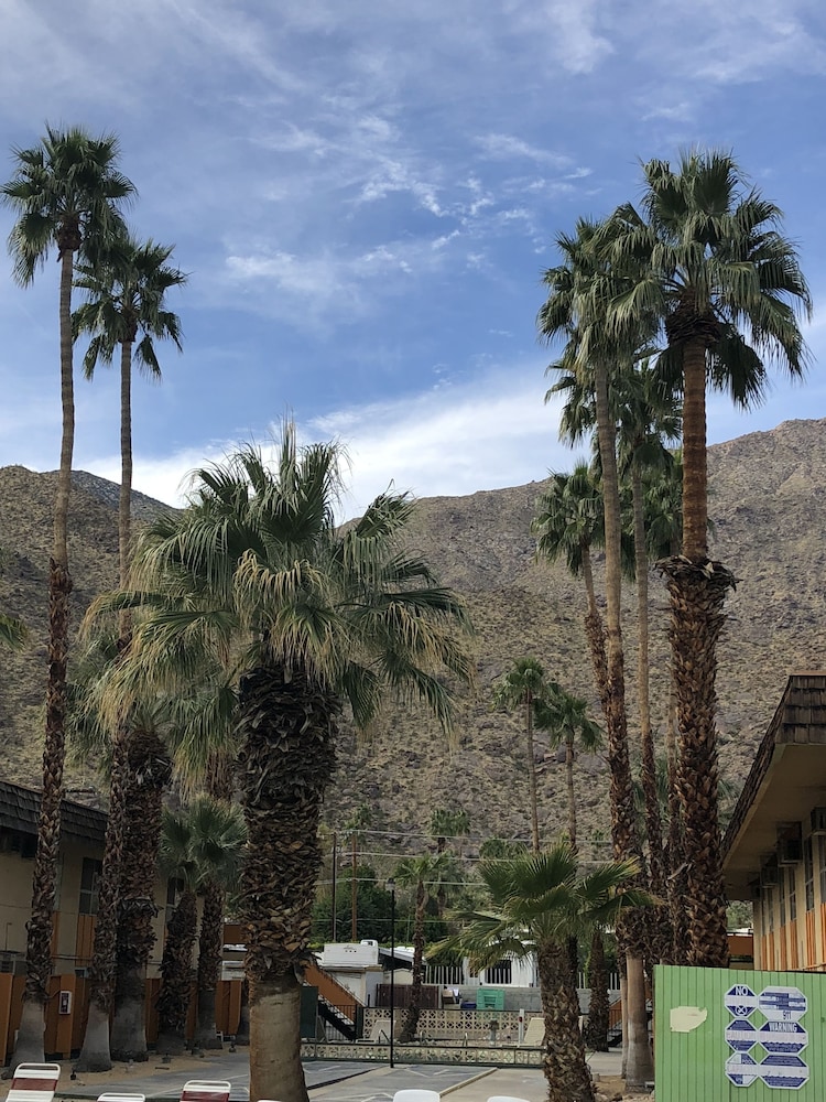 Desert Lodge 45/50