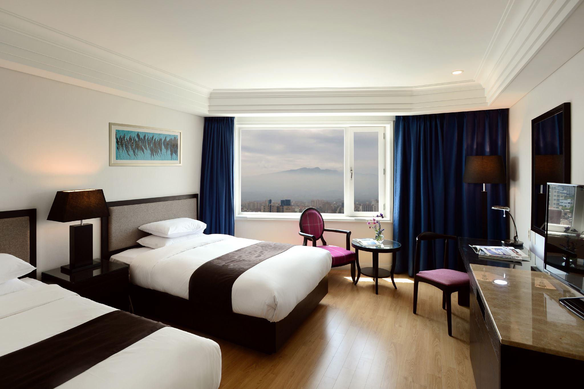 Semi Room, Deluxe, Twin Beds, City View