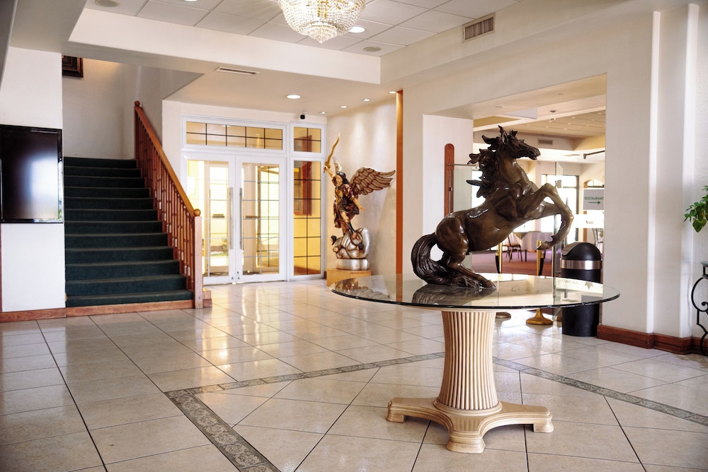 Sicomoro Hotel 8/50