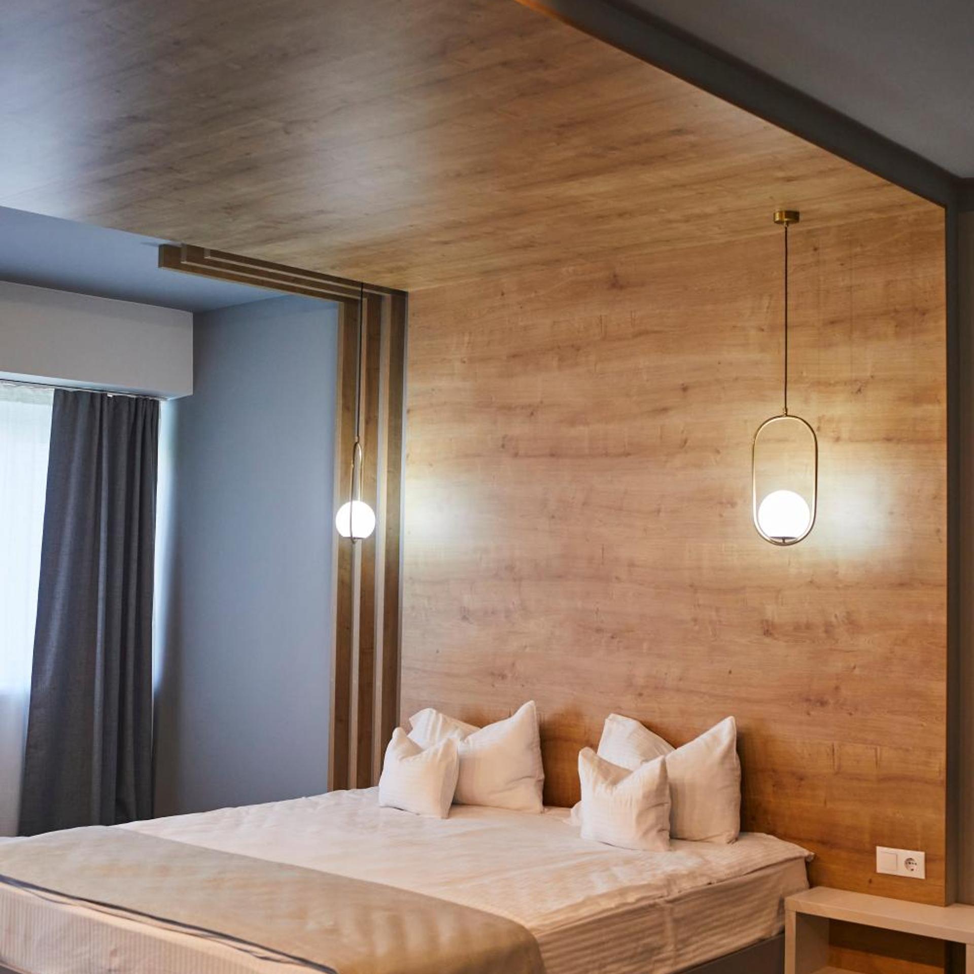 Bistrita Hotel 20/55