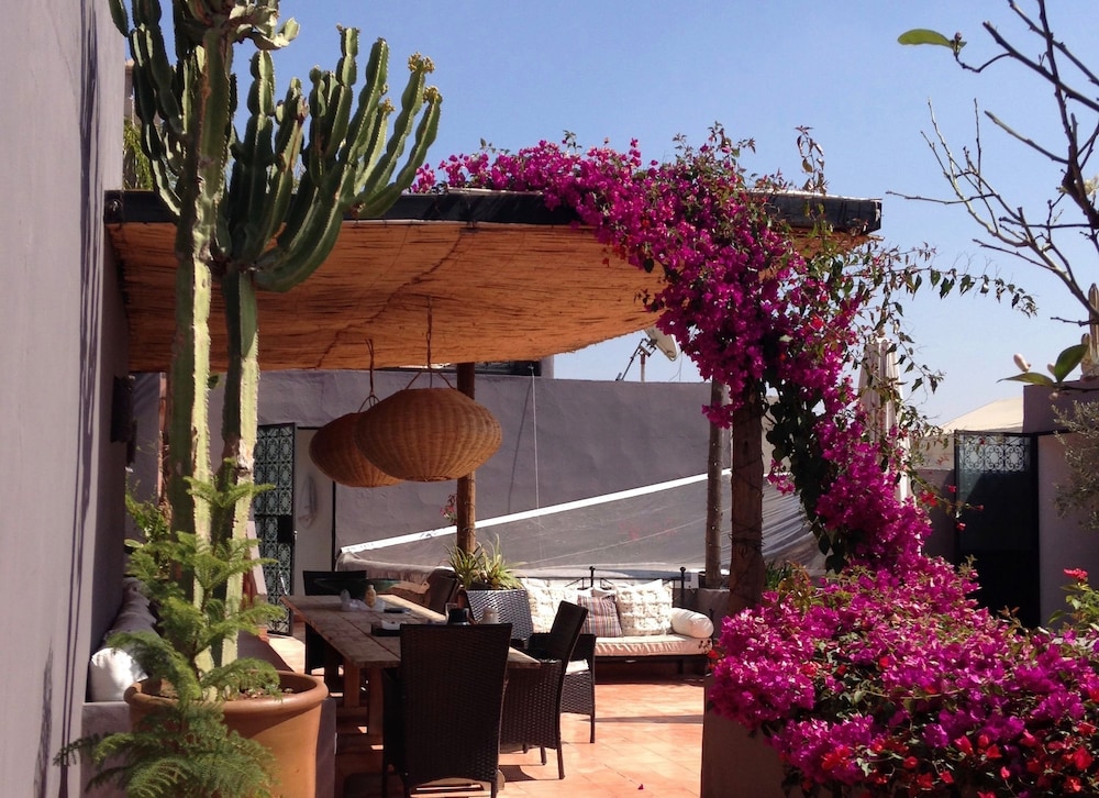 Riad Timila 44/50