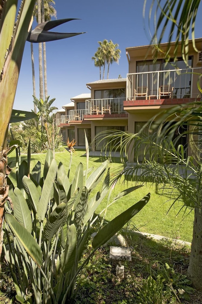 Best Western Pine Tree Motel 3/35