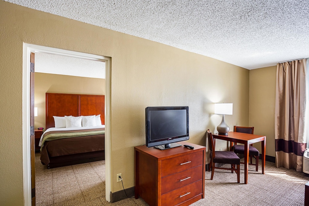 Comfort Inn Baton Rouge 29/33