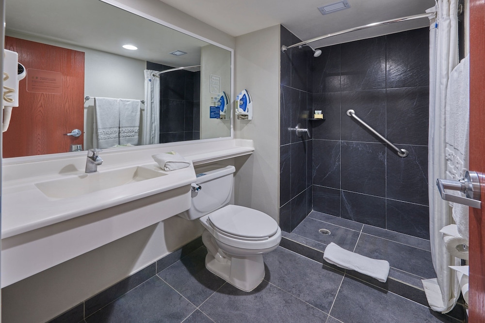 City Express by Marriott Irapuato 50/50
