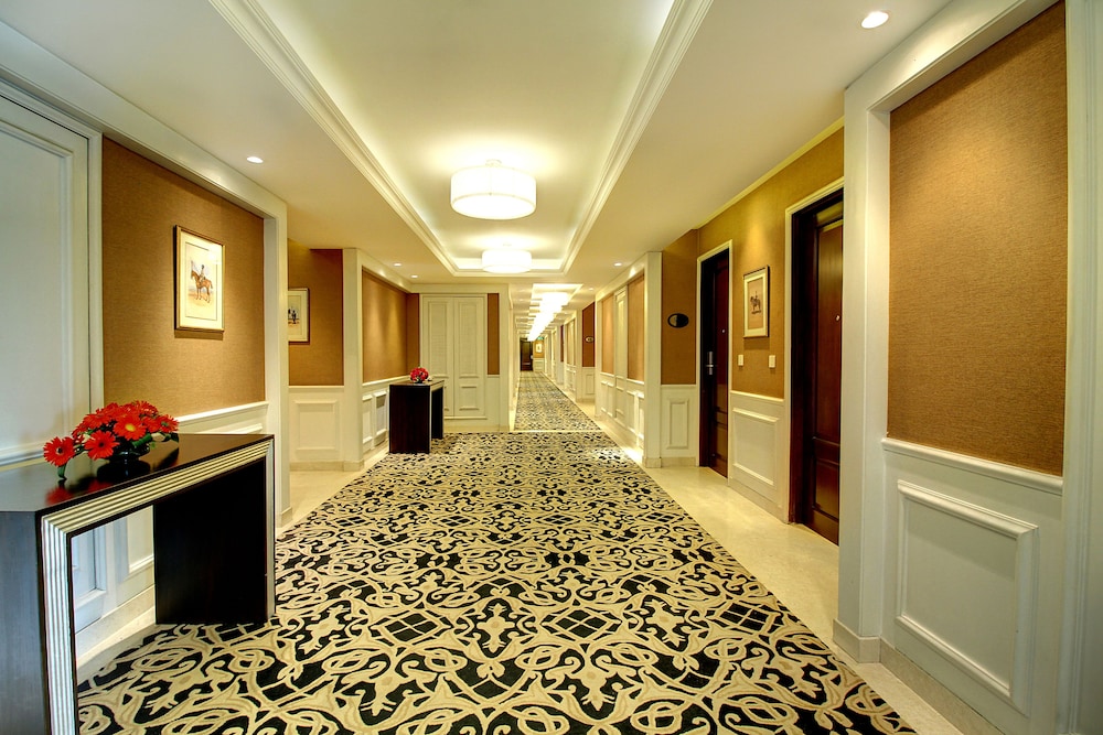The Pllazio Hotel 36/50
